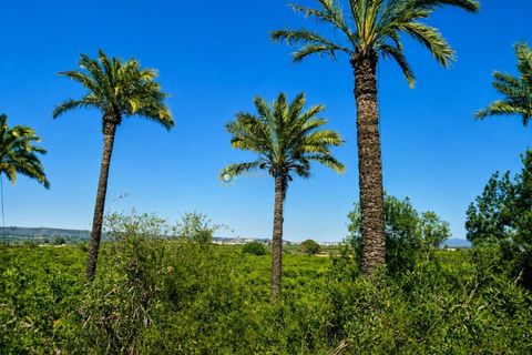 Villa en Cotes, Valencia, Cotes - € 1.200.000 | Ref: PNVL2175 - photo 42